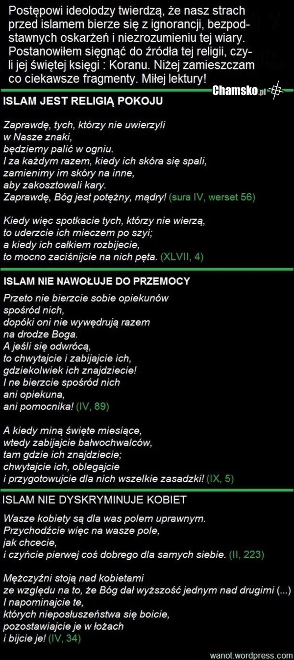 [Obrazek: 0_1_46235_Islam_przez_xawery.jpg]