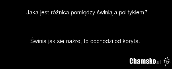 0_1_60649_swinia_a_polityk_przez_abando.