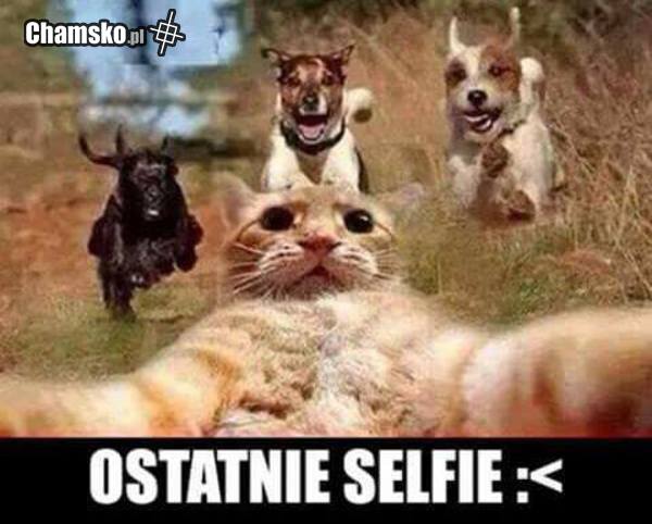 0_1_62336_ostatnie_selfie_przez_POGODNO.