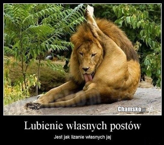Lubienie w?asnych postów..