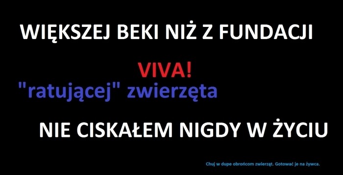 Beka z Viva i idiotów chcących zmienić świat