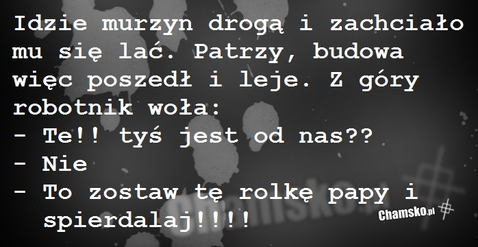 Murzyn