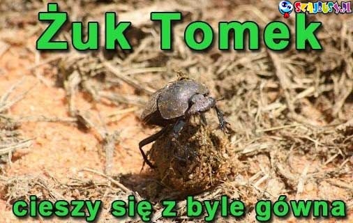Żuk Tomek