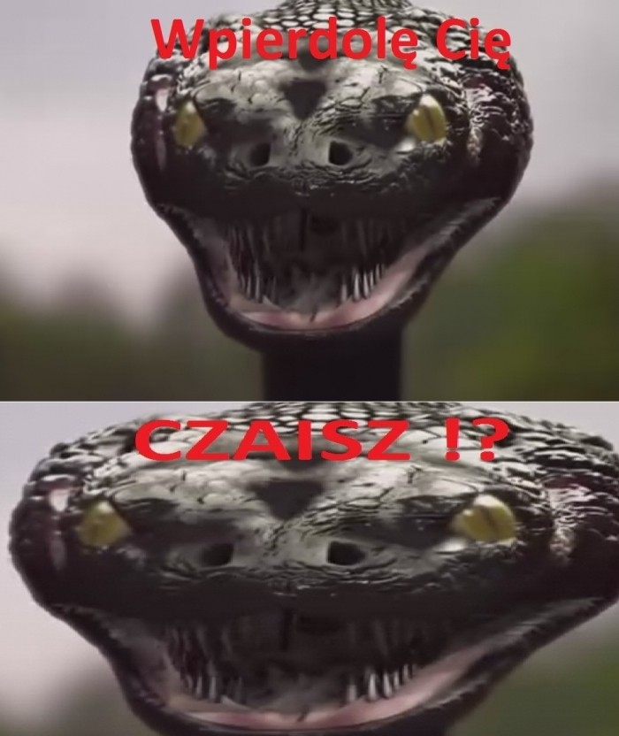 Wpierdolę Cię ! Czaisz!?
