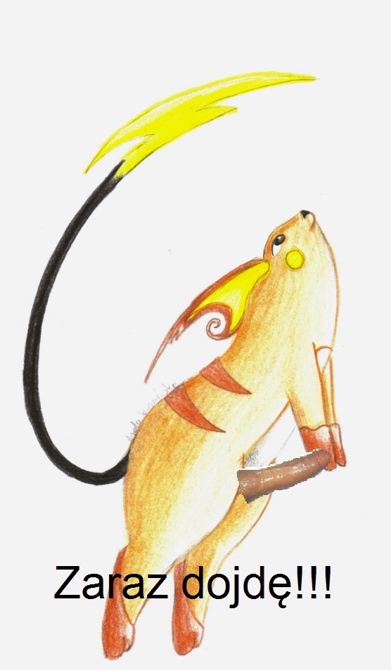 Pika chuj