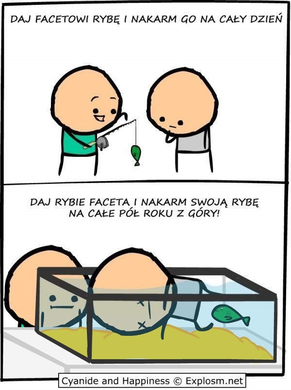 Rybki
