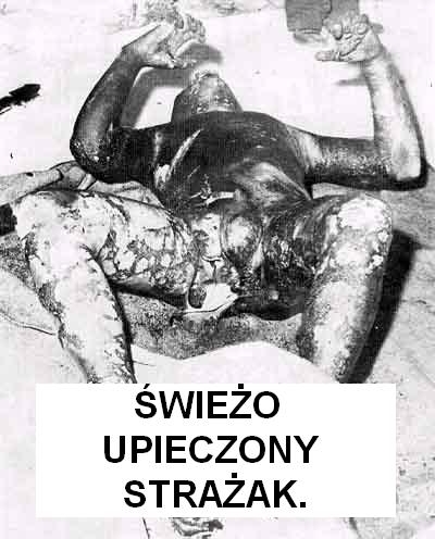 Ktoś wziął to doslownie.