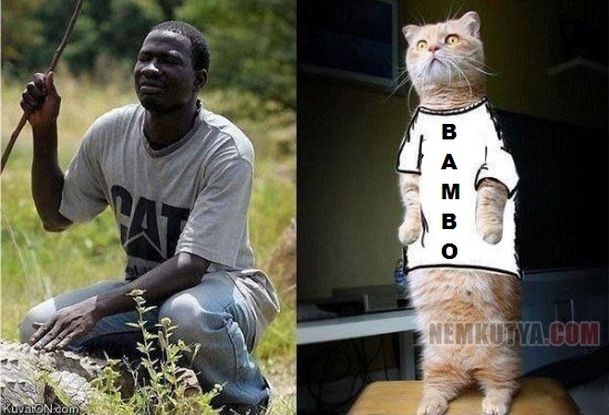 Murzynek bambo