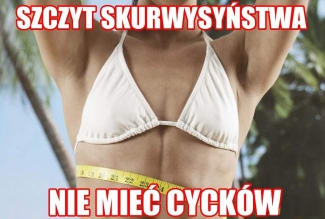 Skurwysyństwo