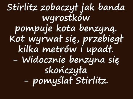 Kotek