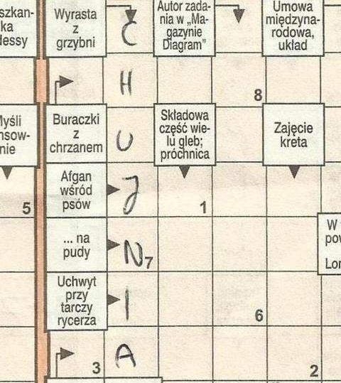 Z grzybni powstała