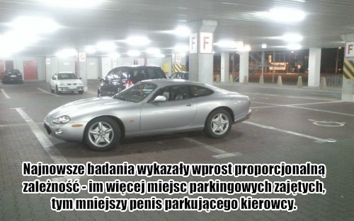 Mistrzowie parkowania