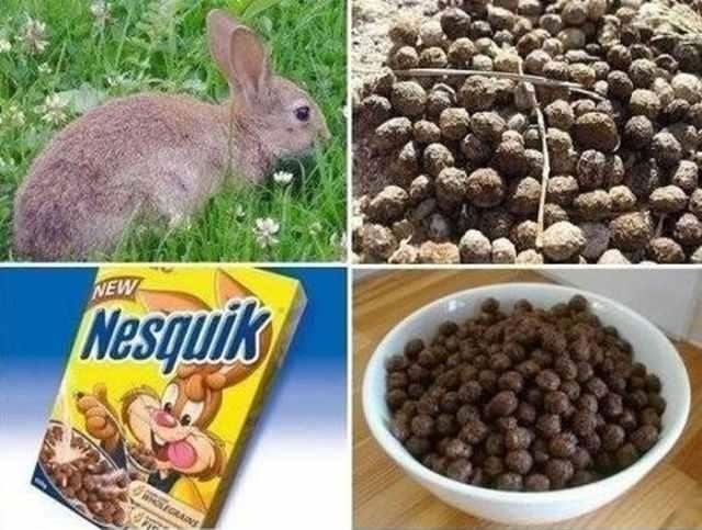 Nesk?ik