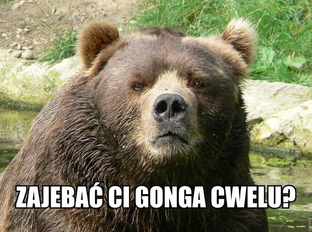 Zajebać