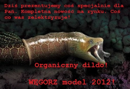 Organiczny dildo