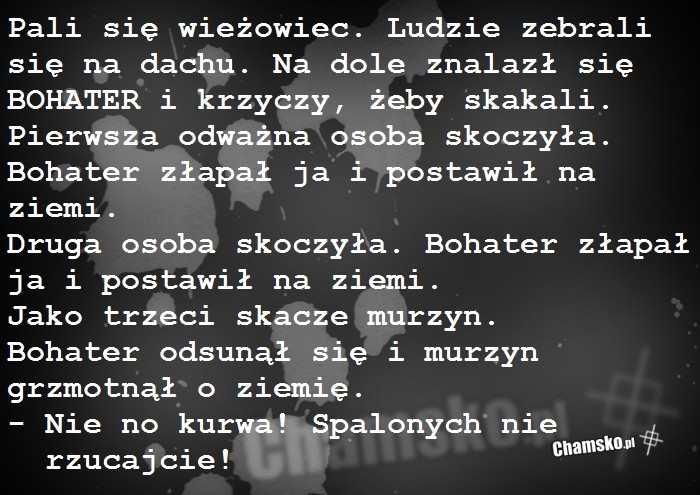 Akcja ratunkowa