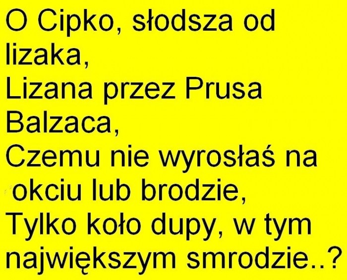 Oda do cipki