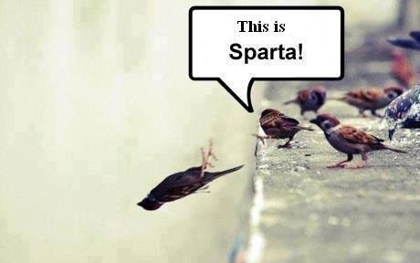 sparta