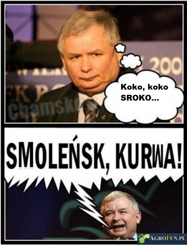 koko-sroko...