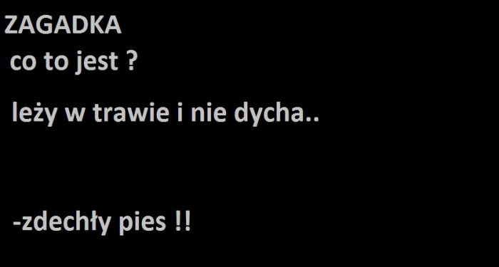zagadka