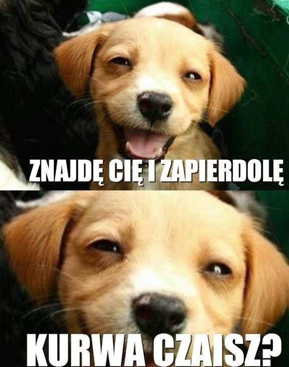 Czaisz ?!