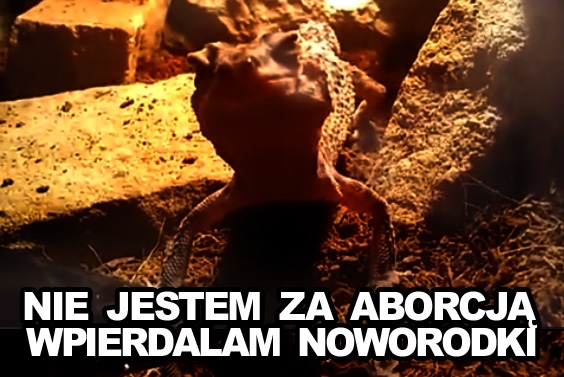 Zakaz aborcji