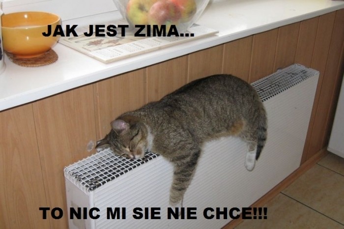 zima