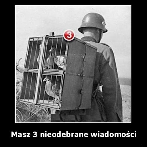 poczta