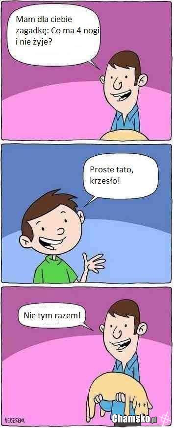 Co ma 4 nogi i nie żyje?