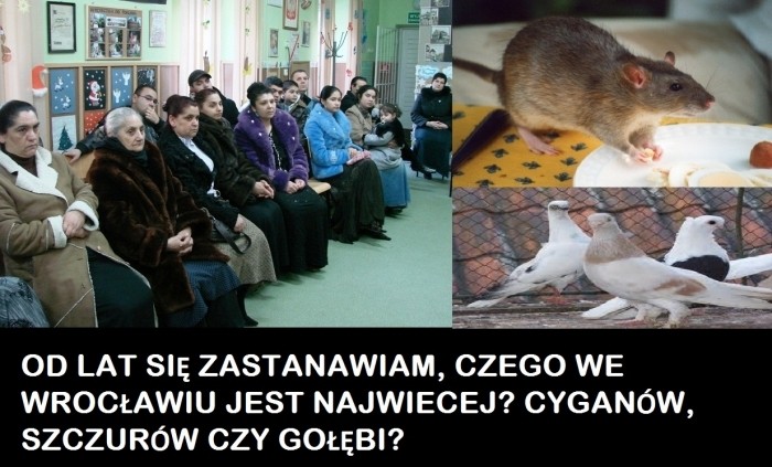 Romy Szczuri i Go??bie
