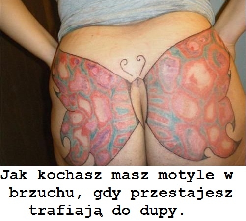 Motyle