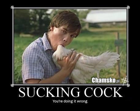 Sucking cock