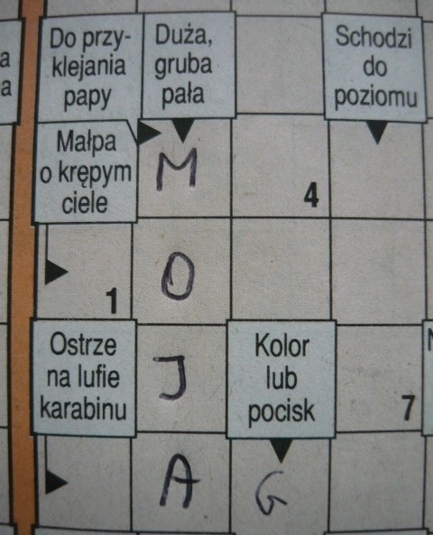 Pa?a