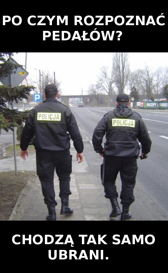 Po czym pozna?