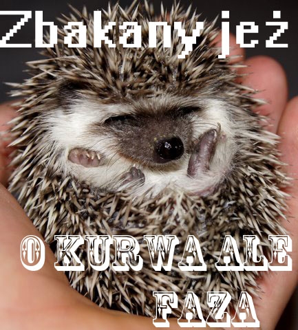 Zbakany je? by Glinczer