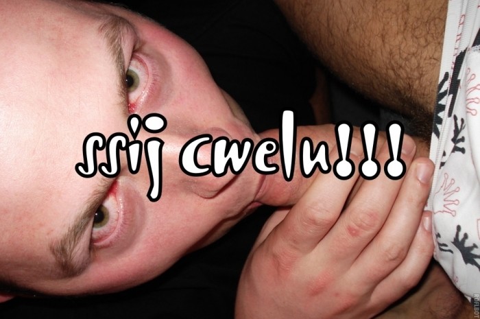 ssij cwelu