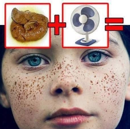 Piegi..