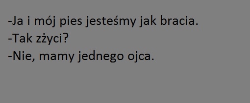 pies