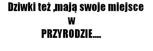 dziwki