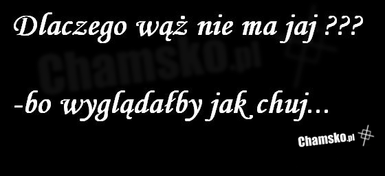Wąż