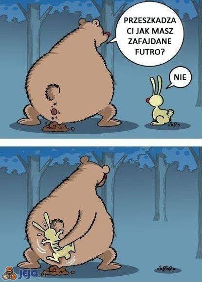 Wszystko się spierdoli