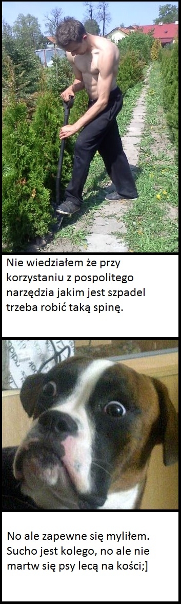 Psy lubią kości