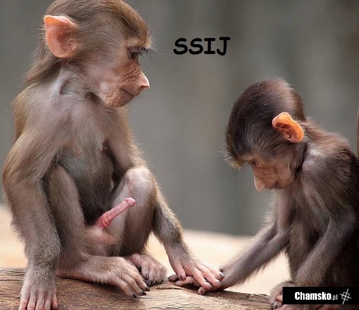 Ssij