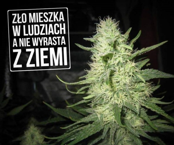 Zło