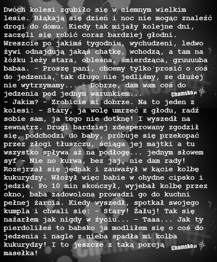 Zagubieni w lesie