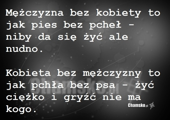 Pchła