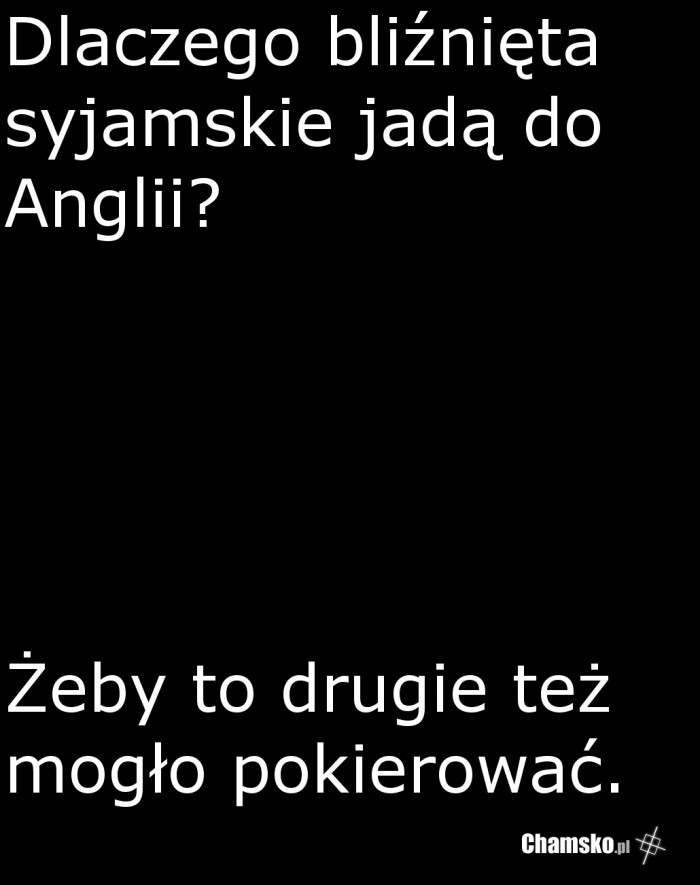 Bli?ni?ta syjamskie
