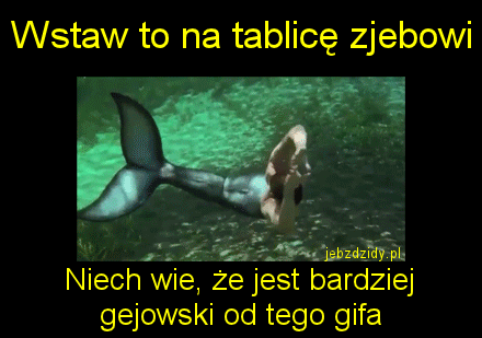 Wklej to zjebowi