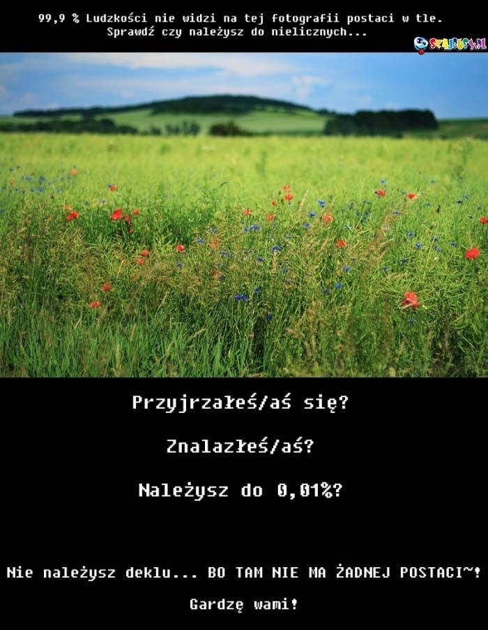 widzisz to ?