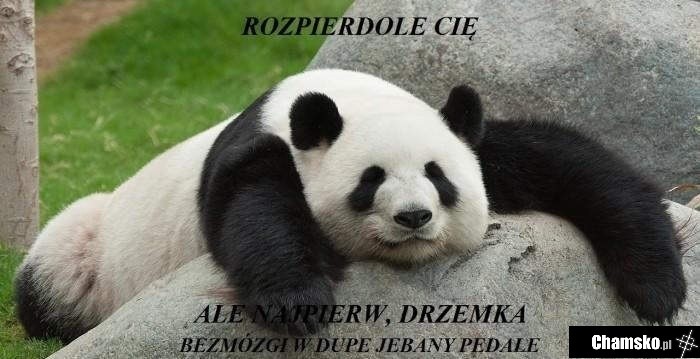 Drzemka